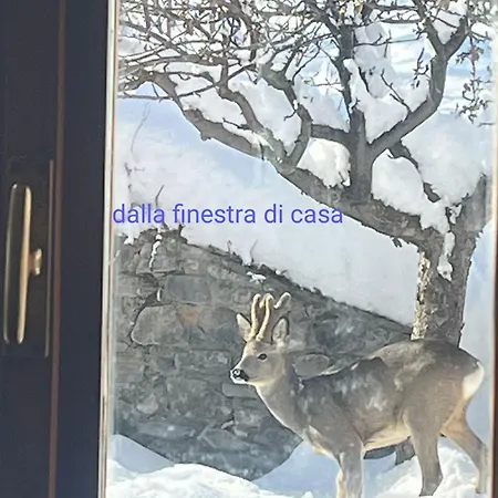 Bilocale Relax In Cesana *